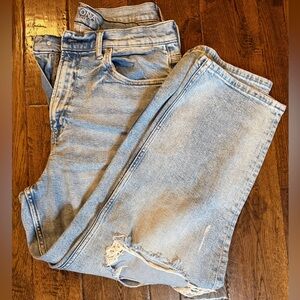 Arizona Light Blue Distressed Women Jeans